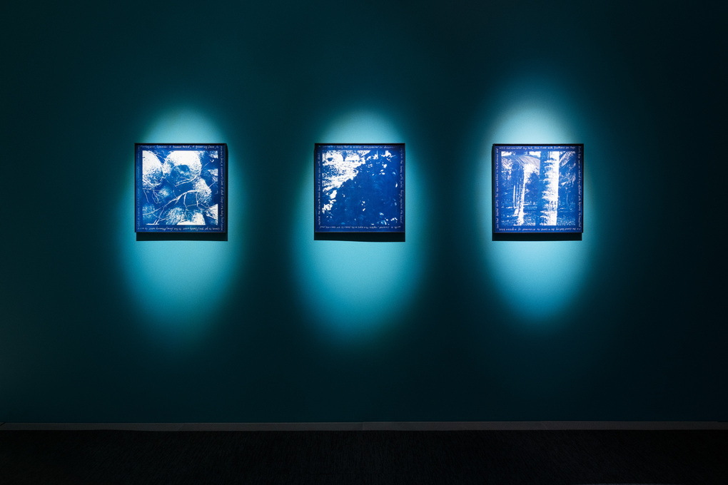 Exhibition view